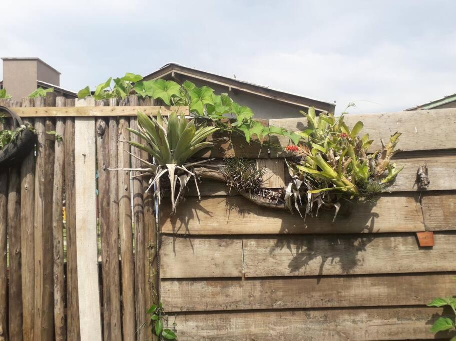 Casa Proximo A Praias, Trilhas E Cachoeiras. Garopaba Dış mekan fotoğraf