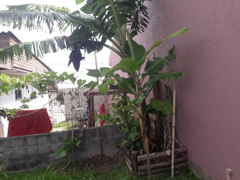 Casa Proximo A Praias, Trilhas E Cachoeiras. Garopaba Dış mekan fotoğraf