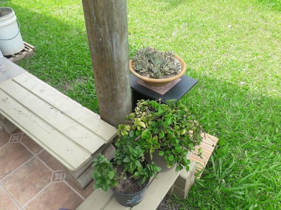 Casa Proximo A Praias, Trilhas E Cachoeiras. Garopaba Dış mekan fotoğraf